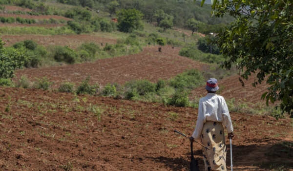 A woman using a walking aid makes her way along a dirt path beside cultivated fields in rural Zimbabwe.